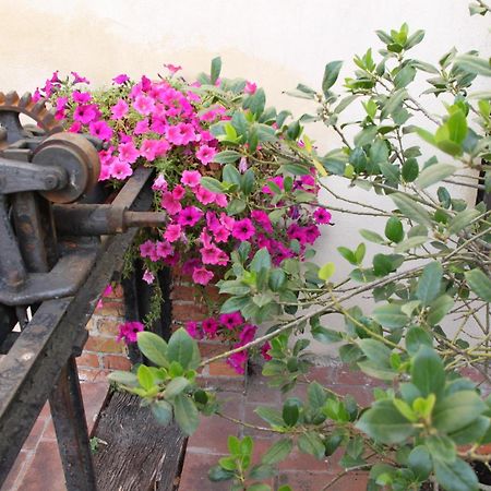 Hotel La Vecchia Cartiera Colle Val D'Elsa Exteriér fotografie