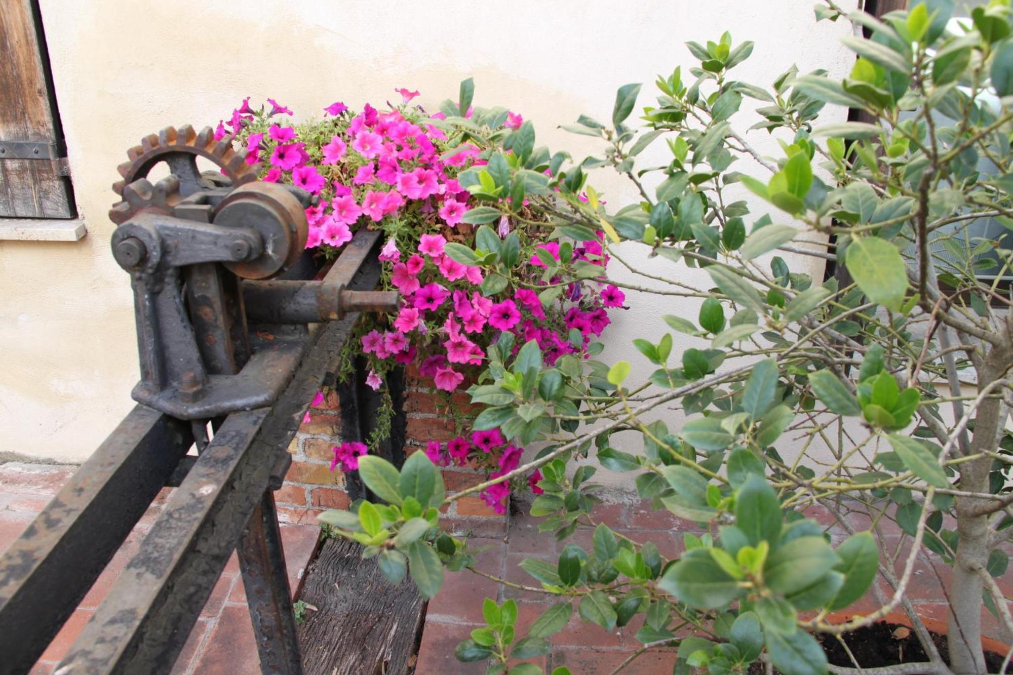 Hotel La Vecchia Cartiera Colle Val D'Elsa Exteriér fotografie